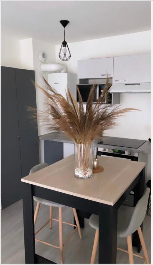 Appartement Cosy Et Bien Equipe نانتير المظهر الخارجي الصورة