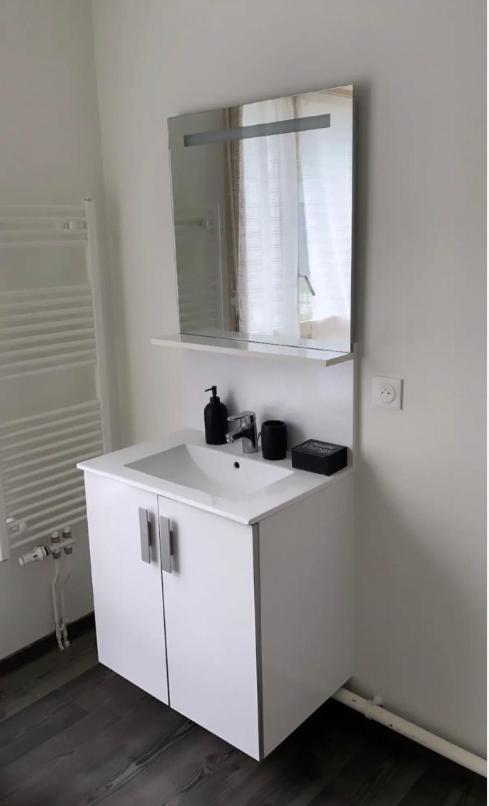Appartement Cosy Et Bien Equipe نانتير المظهر الخارجي الصورة